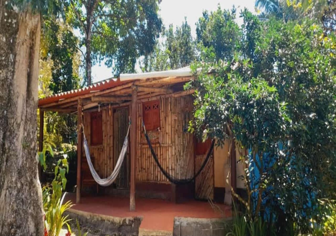 Hostal Familiar El Angel Panama B&B Pajonal Arriba Dış mekan fotoğraf