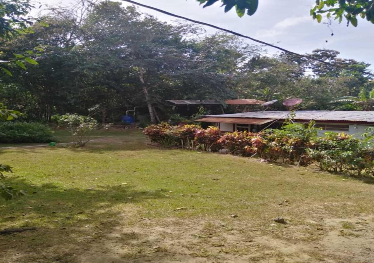 Hostal Familiar El Angel Panama B&B Pajonal Arriba Dış mekan fotoğraf