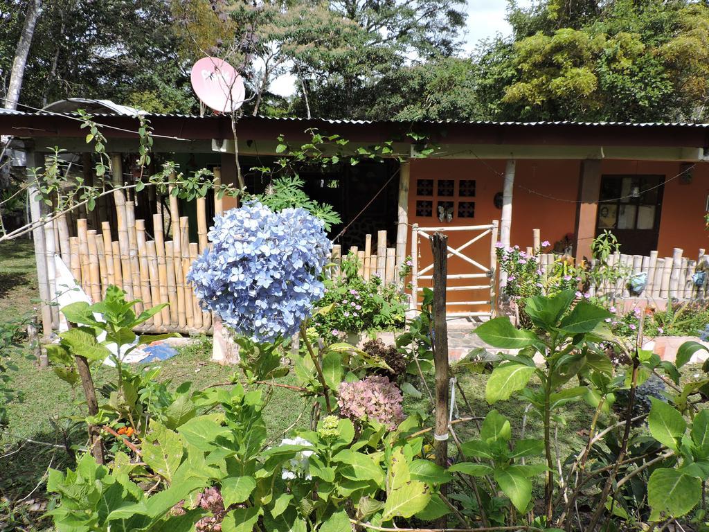 Hostal Familiar El Angel Panama B&B Pajonal Arriba Dış mekan fotoğraf