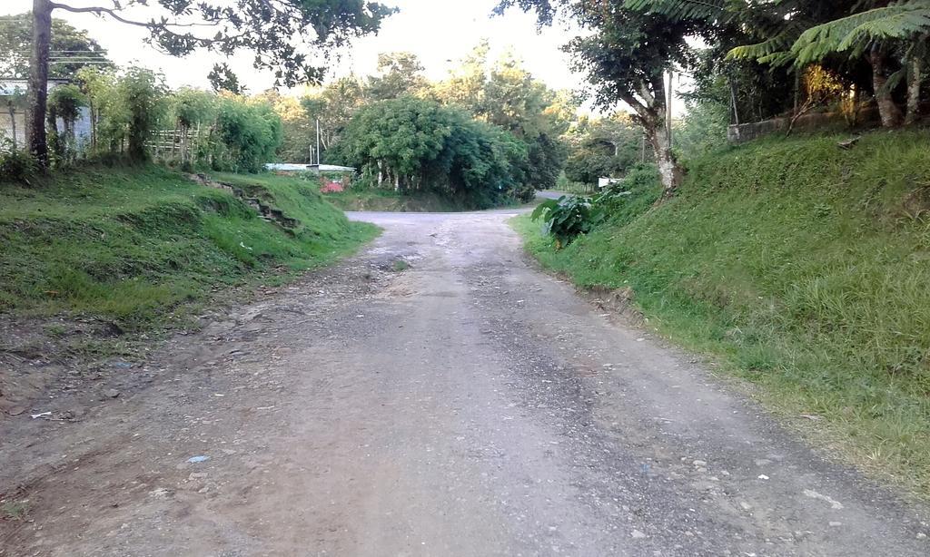 Hostal Familiar El Angel Panama B&B Pajonal Arriba Dış mekan fotoğraf