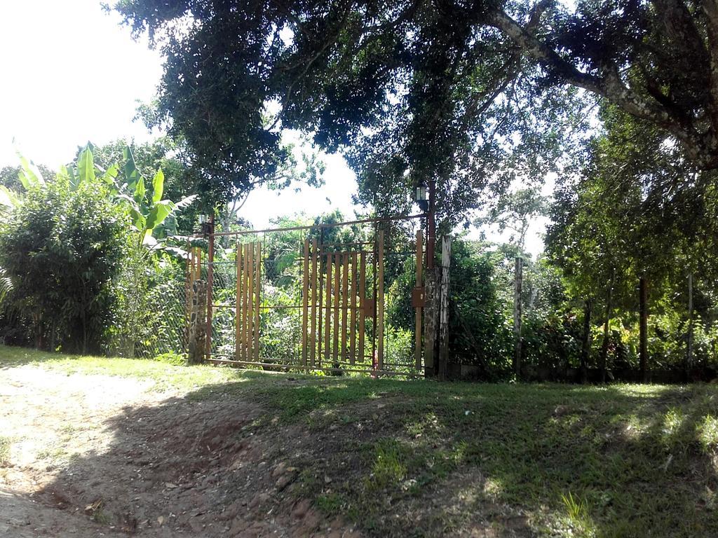Hostal Familiar El Angel Panama B&B Pajonal Arriba Dış mekan fotoğraf