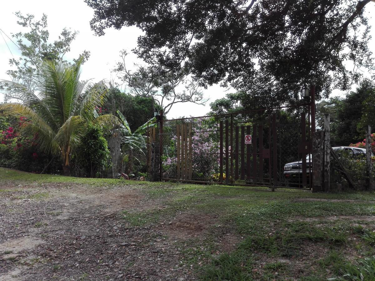 Hostal Familiar El Angel Panama B&B Pajonal Arriba Dış mekan fotoğraf
